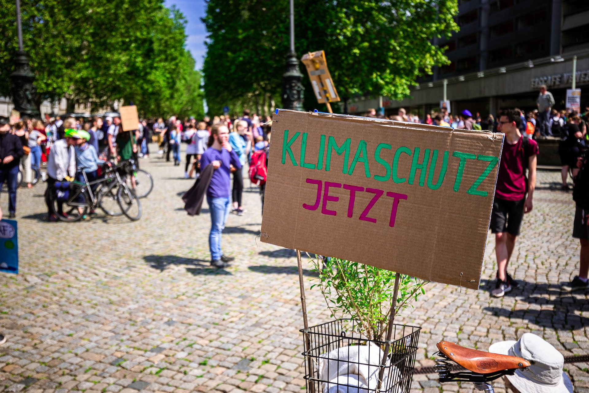 Die Doppelstandards beim zivilen Ungehorsam